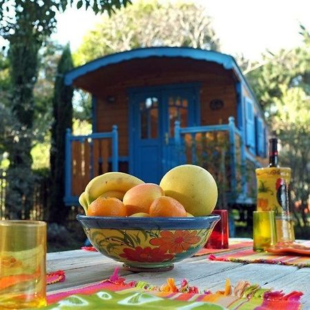Roulotte De Charme Villa Grasse Ngoại thất bức ảnh